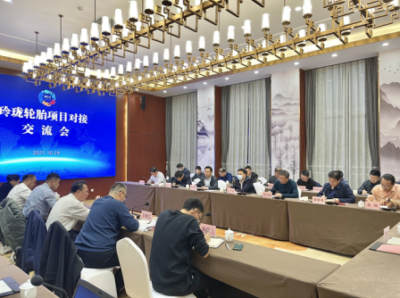 玲瓏輪胎項目技術溝通對接會