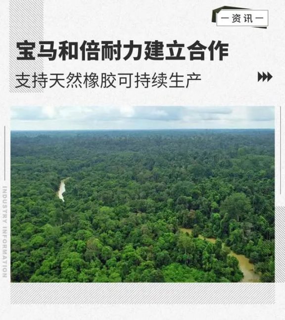 支持天然橡膠可持續生產 寶馬和倍耐力建立合作1·