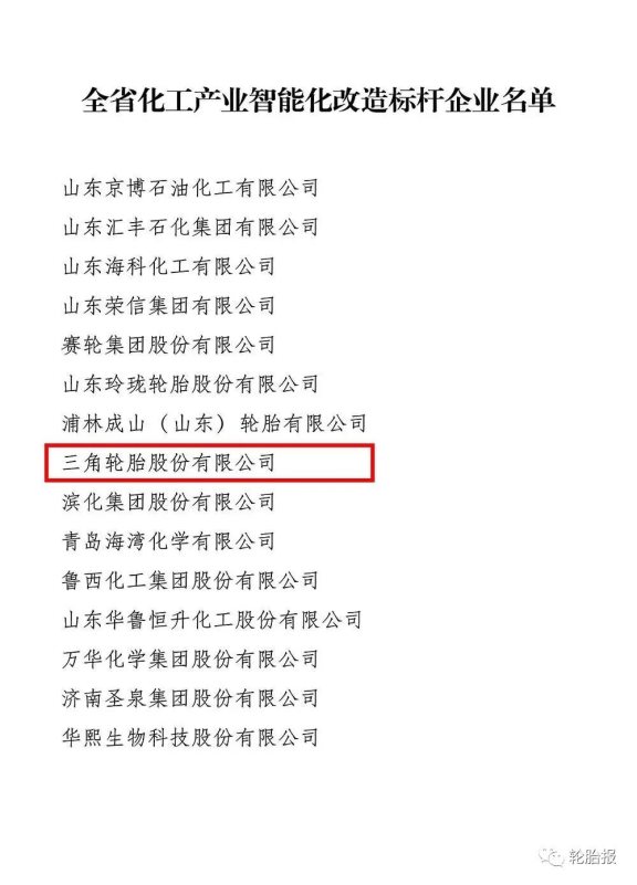 智能化標桿企業——三角輪胎 智能化標桿企業——三角輪胎
