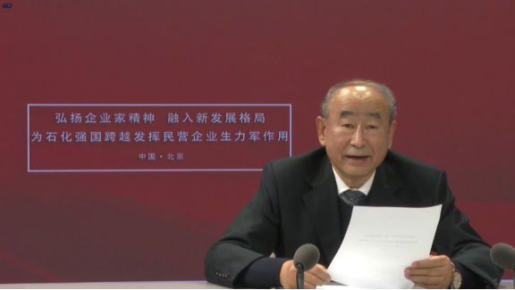 2021石油和化工民營企業百強 2021石油和化工民營企業百強