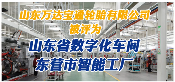 山東萬達寶通輪胎對其全年工作做了詳細總結。