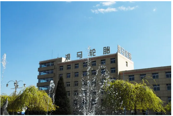 公司全年實現銷售收入28.8億元，年產量358萬套，年銷量350萬套，產銷量均創建廠以來的最高紀錄。
