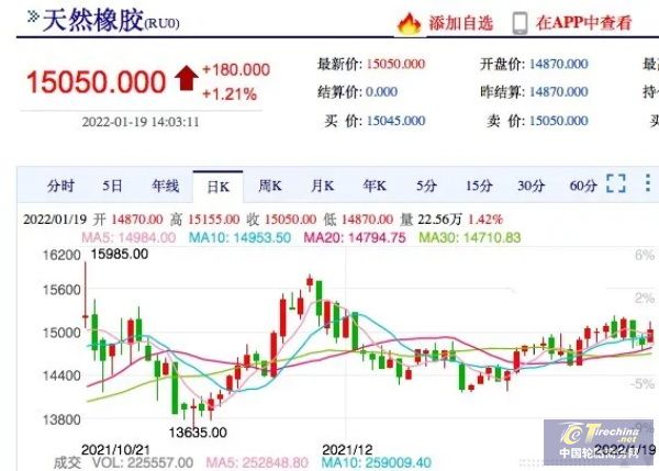 橡膠停割即將開啟，膠價還會攀升？