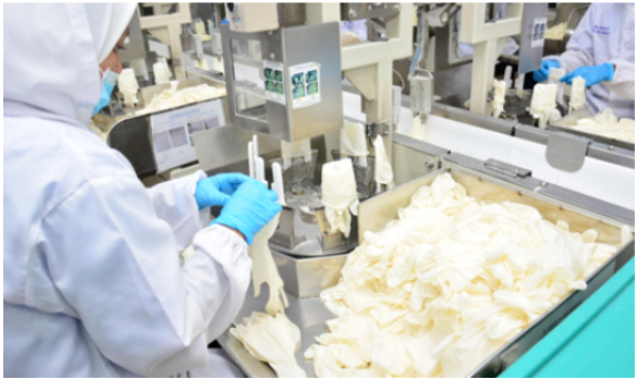 馬來西亞橡膠業重新啟用外國勞工