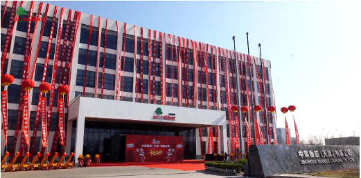 中策天津公司,開業! 中策天津公司,開業!