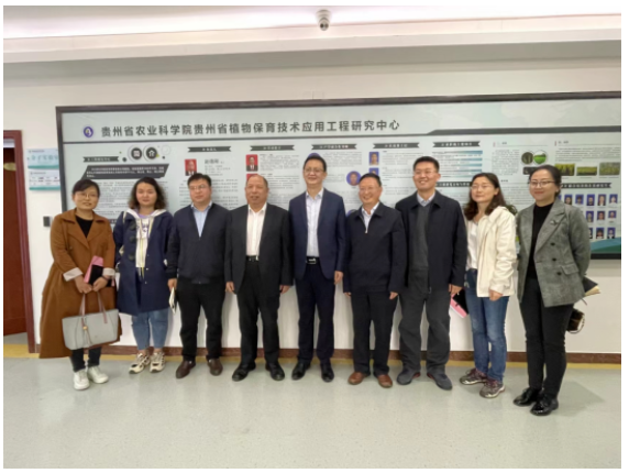 杜仲膠的低成本產業化應用提上合作日程