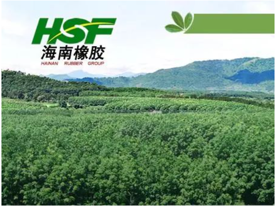 公司在不具有商業實質的情況下進行會計處理,導致多期年度報告財務信息披露不真實,違反了多項規定。 公司在不具有商業實質的情況下進行會計處理,導致多期年度報告財務信息披露不真實,違反了多項規定。