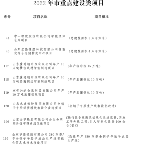 9個輪胎及行業相關項目 9個輪胎及行業相關項目