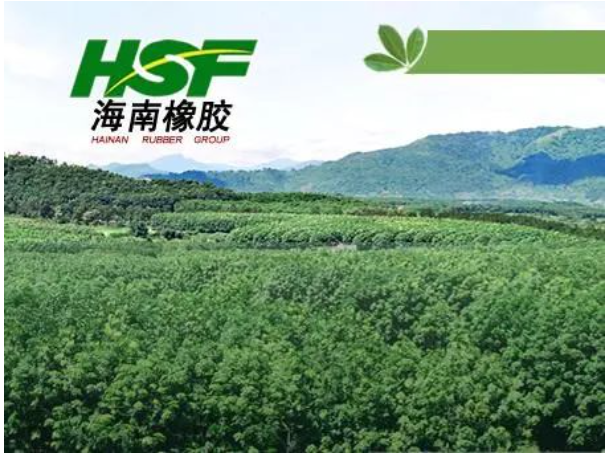 海南橡膠:同比減虧 海南橡膠:同比減虧
