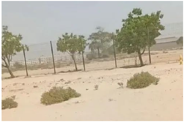 阿聯酋絕大部分地區是沙漠和洼地,起伏不平的路面會對輪胎造成一定的沖擊 阿聯酋絕大部分地區是沙漠和洼地,起伏不平的路面會對輪胎造成一定的沖擊