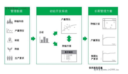 普利司通利用大數據優化橡膠樹種植,助力橡膠園增產 普利司通利用大數據優化橡膠樹種植,助力橡膠園增產
