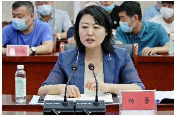 邢臺市任澤區委書記楊蕾等區委、區政府領導，陪同專家組調研了河北省重點特色產業集群——任澤區橡塑材料產業集群
