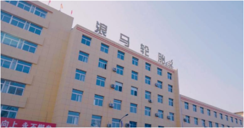 輪胎公司產量翻番，銷售額大漲