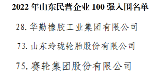 山東民企100強，三大輪胎上榜！