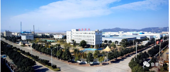魚童入選國家級專精特新"小巨人"企業的實力吧 魚童入選國家級專精特新"小巨人"企業的實力吧