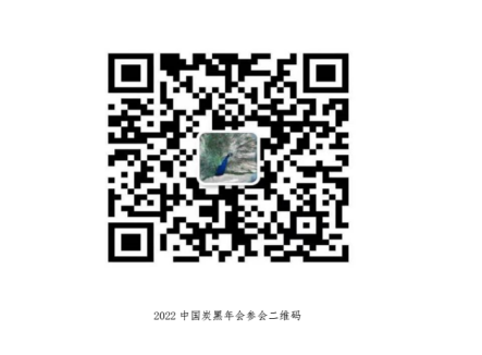 炭黑行業
