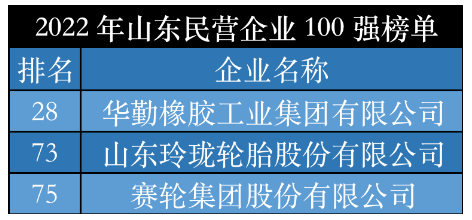 2022山東輪胎領軍企業,震撼發布! 2022山東輪胎領軍企業,震撼發布!