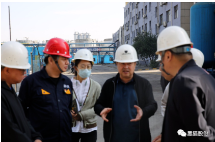 趙偉就烏海黑貓公司概況、發展規劃及生產經營情況向調研組進行匯報。 趙偉就烏海黑貓公司概況、發展規劃及生產經營情況向調研組進行匯報。