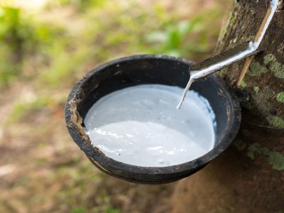 橡膠有哪些原材料？你不知道的橡膠知識