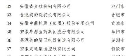 在合肥召開的第五屆2022世界制造業大會中國民營制造業合作交流對接會上，正式對外發布了2022安徽省民營企業制造業綜合百強。