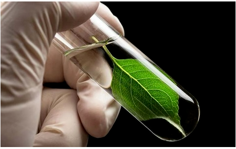 博拉表示,通過將生物基納米纖維素加入橡膠混煉膠中,提高了輪胎滾動阻力和車輛燃油經濟性。 博拉表示,通過將生物基納米纖維素加入橡膠混煉膠中,提高了輪胎滾動阻力和車輛燃油經濟性。