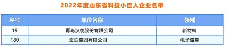 青島漢纜股份、宏安集團入選2022年度山東省科技領軍企業名單 青島漢纜股份、宏安集團入選2022年度山東省科技領軍企業名單