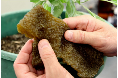 輪胎廠新項目，獲政府2.5億資助！