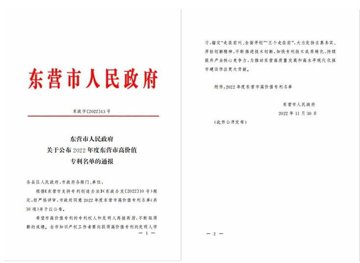 耐斯特炭黑公司發明專利榮獲東營市高價值專利