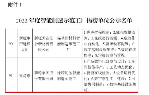 賽輪集團,上榜國家級名單 賽輪集團,上榜國家級名單