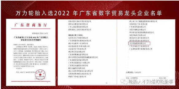 萬力輪胎入選廣東省數字貿易龍頭企業 萬力輪胎入選廣東省數字貿易龍頭企業