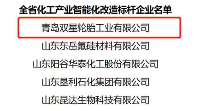 數智化創新發展,雙星輪胎獲評山東省化工產業智能化改造“標桿企業” 數智化創新發展,雙星輪胎獲評山東省化工產業智能化改造“標桿企業”
