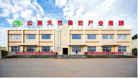 聲明稱,該公司是“金鳳”牌天然橡膠商標(biāo)的唯一所有人。 聲明稱,該公司是“金鳳”牌天然橡膠商標(biāo)的唯一所有人。