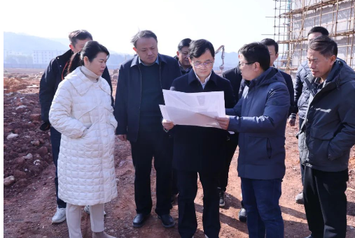 林衛春在宏柏新材項目施工現場調研 林衛春在宏柏新材項目施工現場調研