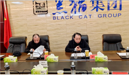 潘福林一行深入黑貓集團調研