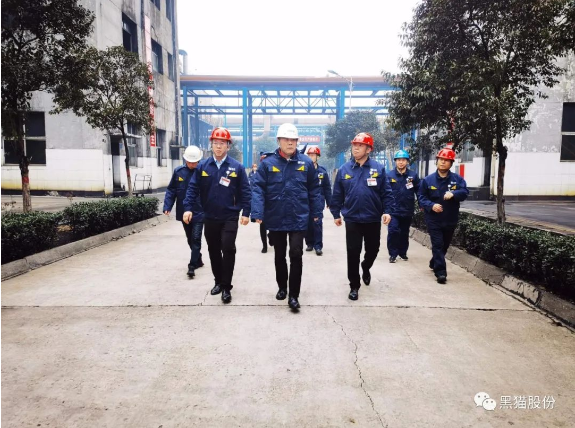 魏明到邯鄲黑貓調研指導工作 魏明到邯鄲黑貓調研指導工作