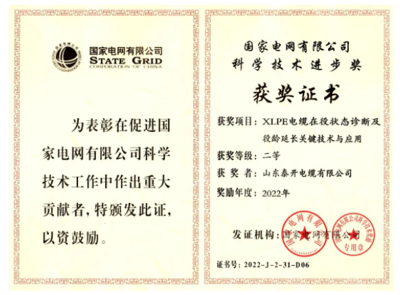 山東泰開電纜有限公司憑借其“XLPE電纜在役狀態(tài)診斷及役齡延長(zhǎng)關(guān)鍵技術(shù)與應(yīng)用”項(xiàng)目，獲得了國(guó)家電網(wǎng)有限公司的“科學(xué)技術(shù)進(jìn)步獎(jiǎng)”，這是對(duì)該公司近年來高質(zhì)量發(fā)展的充分肯定。
