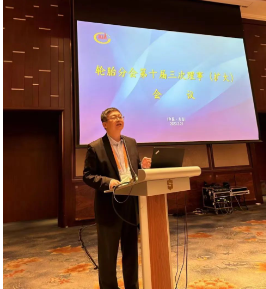 輪胎分會(huì)秘書長史一鋒向理事會(huì)匯報(bào)了2022年輪胎分會(huì)秘書處工作及2023年工作計(jì)劃