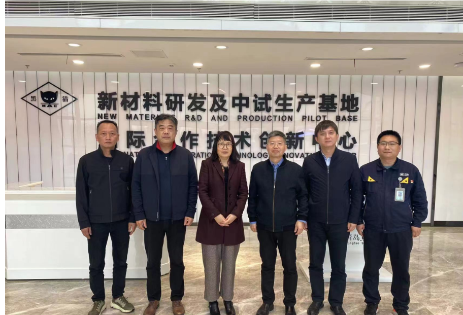 中國橡膠工業(yè)協(xié)會炭黑協(xié)會秘書長丁麗萍、中昊黑元化工研究設(shè)計院王家貴院長一行考察了青島黑貓研究院。黑貓股份黨委副書記、總經(jīng)理魏明陪同考察組一同參觀了中試車間、黑貓文化展廳、研發(fā)中心及產(chǎn)學(xué)研中心。