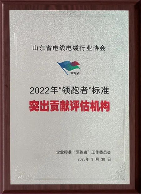 企業標準“領跑者”制度是我國的重要標準制度之一，通過高水平引領，增加中高端產品和服務有效供給，支撐高質量發展的鼓勵性政策，對深化標準化工作改革、推動經濟新舊動能轉換、供給側結構性改革和培育一批具有創新能力的排頭兵企業具有重要作用。