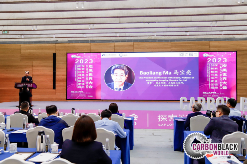 在此次會議中，龍星化工股份有限公司董事會董事、副總經理、正高級工程師馬寶亮發表了精彩演講。