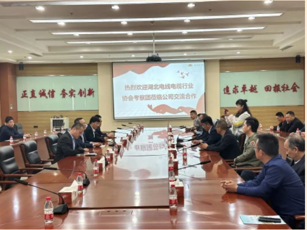 山東泰開電纜有限公司總經(jīng)理張愛華陪同下，交流團一行人參觀了集團展廳，詳細(xì)了解集團的發(fā)展歷程、經(jīng)營理念、科研創(chuàng)新、核心零部件等情況，同時考察了集團下屬高壓、電纜制造現(xiàn)場。在座談會上，雙方就技術(shù)研發(fā)、生產(chǎn)管理、質(zhì)量控制、員工獎勵等方面的問題進行了友好互動交流。