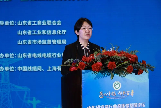 山東省工業和信息化廳裝備產業處副處長齊采芹指出，山東省電線電纜行業協會的成立和發展，對于加強線纜行業內交流與合作、推動技術工藝標準化升級、搶抓細分領域核心優勢、加快培育特色產業集群等有重要積極的意義，希望借助優勢企業，開展特色產業集群培育、制造業創新中心建設、大中小梯次企業培育、數字化轉型升級。