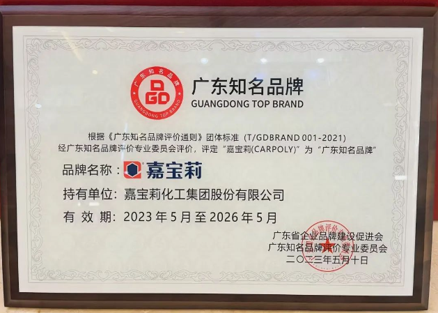 在此次廣東品牌發展大會上，嘉寶莉所獲得的"廣東知名品牌"殊榮不僅是對公司實力和努力的肯定，也是對其品牌價值和市場競爭力的認可。嘉寶莉將以此為契機，進一步加強品牌建設，提升產品研發創新能力，不斷滿足消費者的需求，為行業的發展作出更大貢獻。