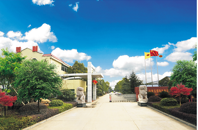 這次行政處罰是湖南省常德市武陵區應急管理局針對該公司的違法行為采取的措施之一。處罰金額為9萬元，旨在敦促湖南雙獅橡膠制品有限責任公司加強對安全生產的管理和規范，確保生產過程中的安全性。