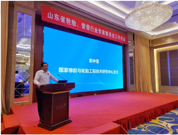 國家橡膠與輪胎工程技術研究中心主任袁仲雪對企業的國際化戰略發展進行了深入分析