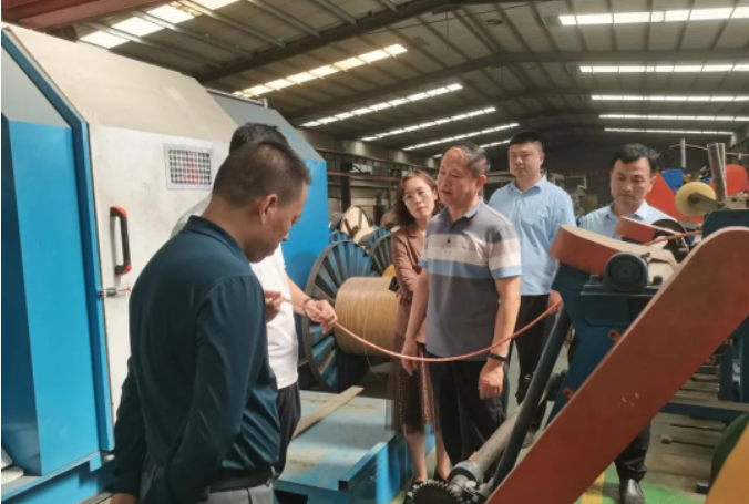 同時，他們還收集整理分析了企業(yè)涉外知識產(chǎn)權(quán)信息，并針對企業(yè)提出的海外知識產(chǎn)權(quán)糾紛應(yīng)對和風(fēng)險防控等重點問題展開了研討。據(jù)了解，調(diào)研組還針對企業(yè)的海外知識產(chǎn)權(quán)布局和預(yù)警分析等方面提出了專業(yè)意見和建議，以有效增強企業(yè)在海外的知識產(chǎn)權(quán)風(fēng)險防控意識和糾紛應(yīng)對能力。