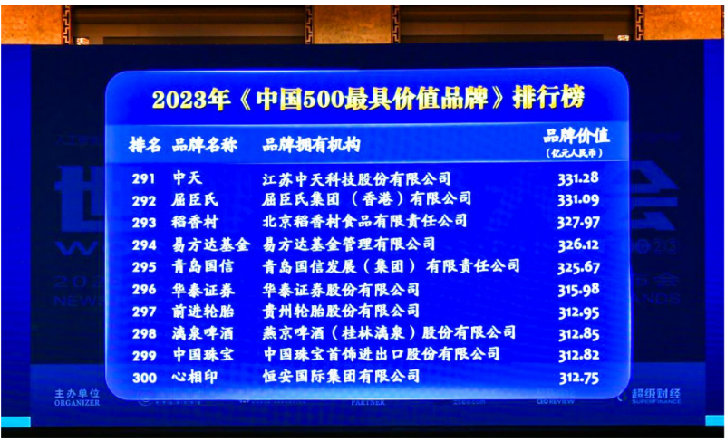 貴州輪胎前進品牌以312.95億元人民幣的價值位列2023年(第二十屆)中國500最具價值品牌第297名。與去年相比，貴州輪胎前進品牌的品牌價值增加了42.3億元人民幣，進一步鞏固了其在國內(nèi)市場的地位，并成功進軍國際化品牌陣營。