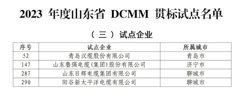 多家電線電纜企業(yè)入選山東省DCMM貫標(biāo)試點名單