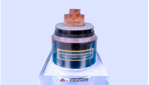 展望未來，泰開電纜表示將繼續(xù)發(fā)揮科研平臺(tái)在關(guān)鍵技術(shù)攻關(guān)、科技成果轉(zhuǎn)化、創(chuàng)新人才培養(yǎng)、產(chǎn)學(xué)研協(xié)同發(fā)展等方面的重要作用，力爭(zhēng)實(shí)現(xiàn)新產(chǎn)品、新技術(shù)、新工藝方面的再突破，助力行業(yè)和產(chǎn)業(yè)鏈的協(xié)同發(fā)展!