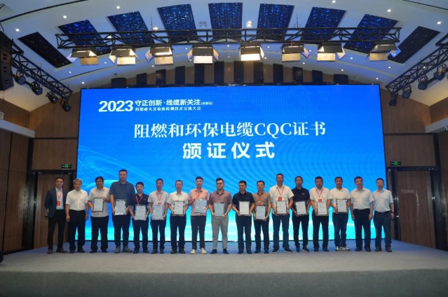 本次大會得到了江蘇省產品質量監督檢驗研究院國家電線電纜質量檢驗檢測中心(江蘇)的全力支持。他們精心籌劃和組織，甄選了眾多專家和議題，為與會者呈現了一場高水平、高質量的標準化系列技術交流會議，取得了圓滿成功。此次大會的舉辦地選擇在成都，也體現了國家電線電纜質量檢驗檢測中心(江蘇)在行業中的號召力，以期進一步促進產業協作和區域發展。